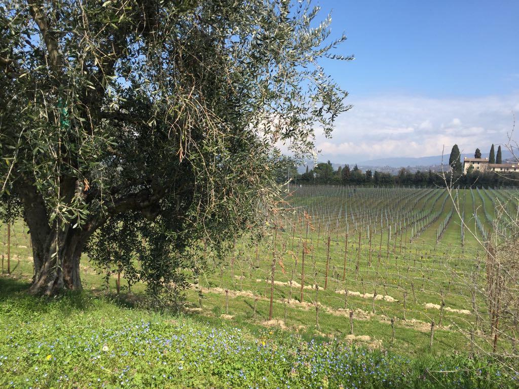 Tenuta La Ca Bardolino Exterior foto